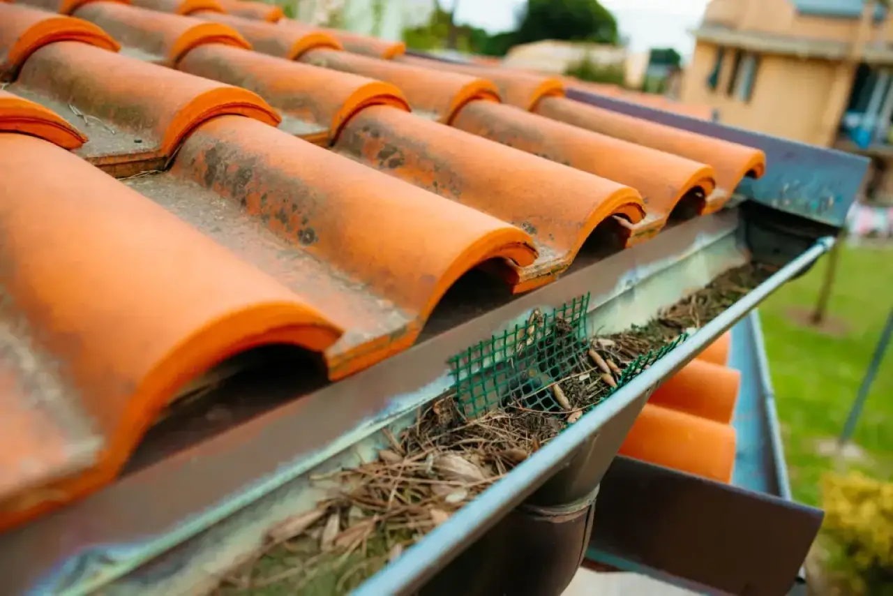 Bord de toiture en tuiles avec gouttière contenant des débris végétaux
